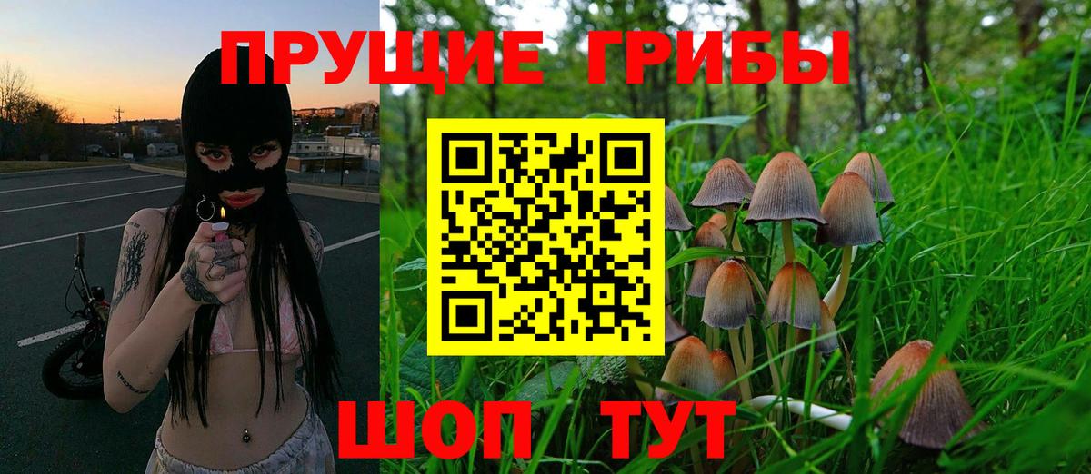 наркотики  Псилоцибиновые грибы Psilocybe  Псилоцибиновые грибы MAGIC MUSHROOMS  Вход с VPN  Амурск 